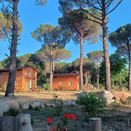 Badece Farm Yellow House Bergama