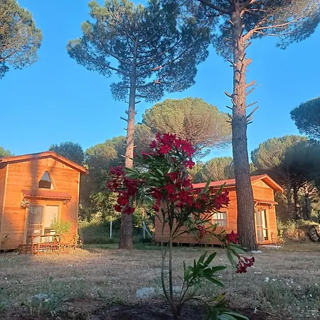 Lodge Badece Farm Yellow House
