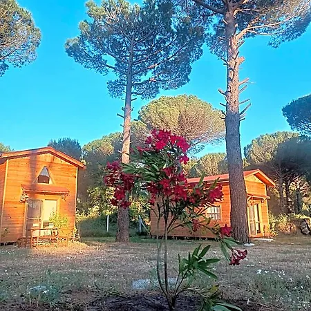 Badece Farm Yellow House برغاما