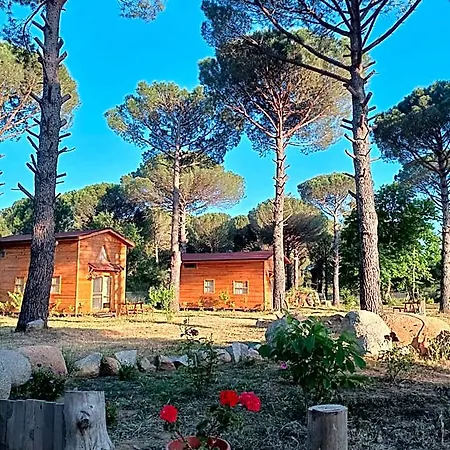 بيت خشبي Badece Farm Yellow House برغاما