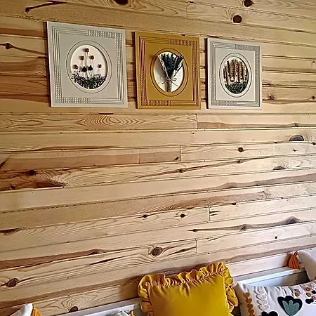 Badece Farm Yellow House بيت خشبي *