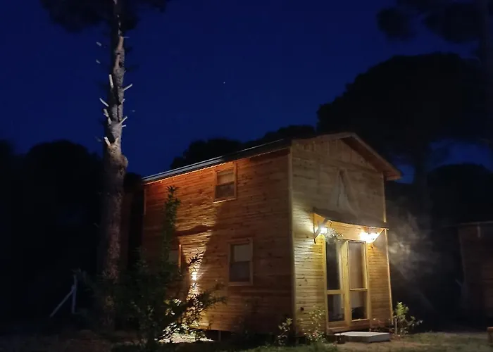 Badece Farm Yellow House * Bergama