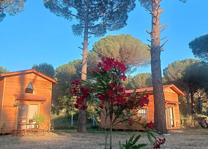 Lodge Badece Farm Yellow House